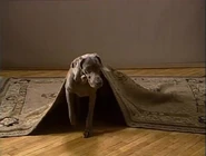 On, under (First: Episode 2637)