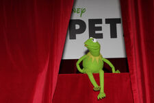 Muppets Australian Premiere 1