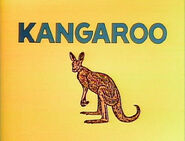 K - kangaroo (EKA: Episode 1836)