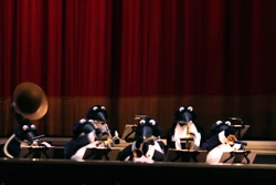 Mv3d penguin band