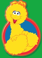 Circle Big Bird 2018