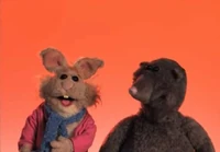 DXDGreeting-Groundhog