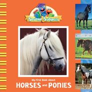 Horses and Ponies January 2008