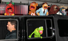 TheMuppets-WorldPremiere-ElCapitan-(2011-11-12)-06