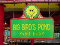 Big Bird's Pond