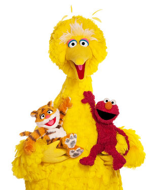 Big bird lily elmo