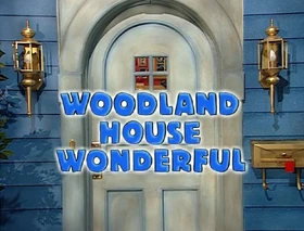 308 woodland house wonderful