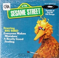 BigBirdMistakesSingle