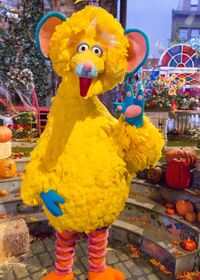 BigBirdMouseCostume