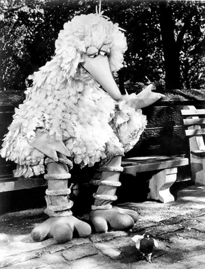 Big Bird dines with some feathered friends.