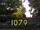 Episode 1079