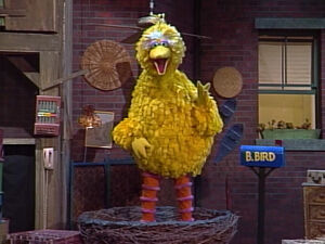 Big Bird in 