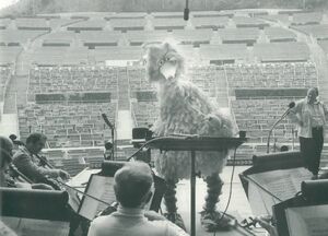 Big BIrd Hollywood Bowl 1977