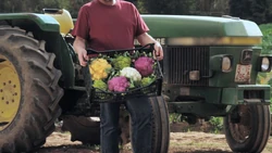 FoodieTruck-Cauliflower02