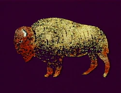 2706-BuffaloConfetti