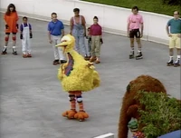 Episode 2835 (Big Bird's Birthday or Let Me Eat Cake)