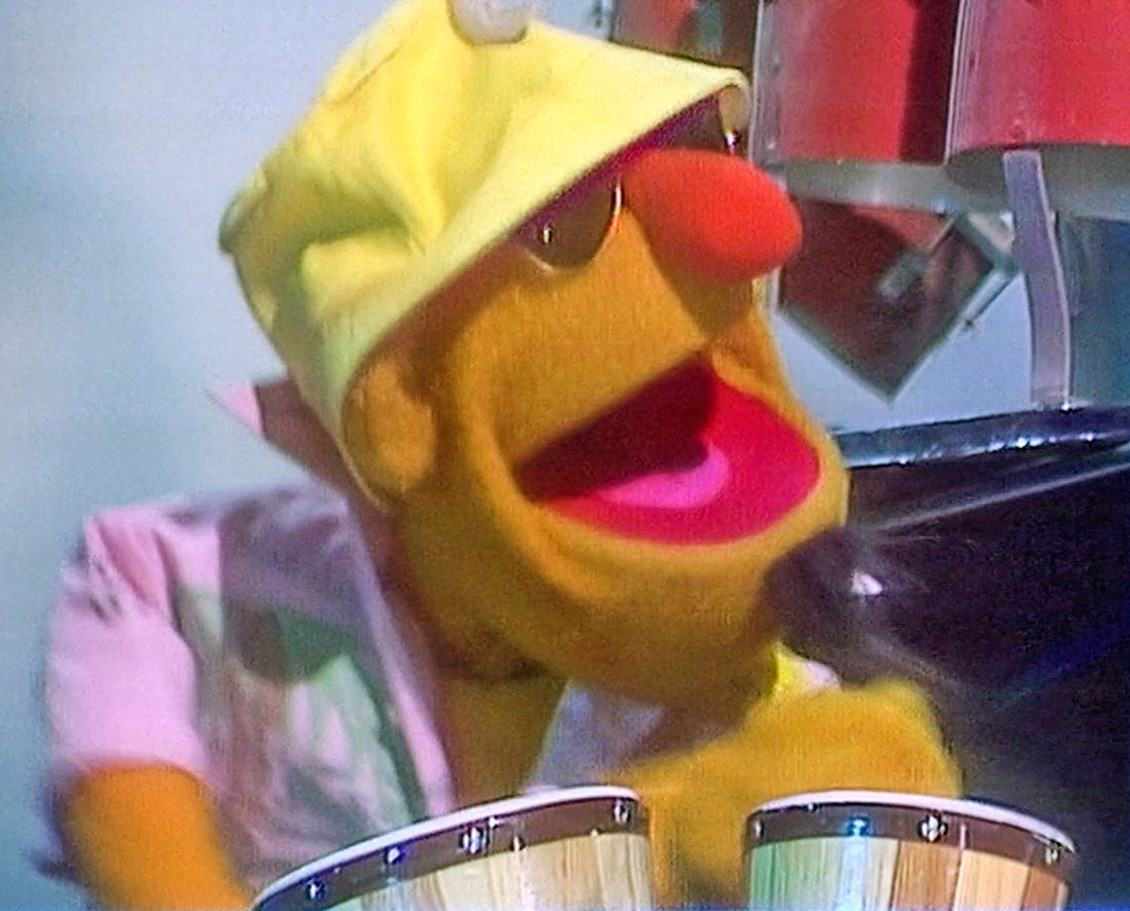 Bongo igrač | Muppet Wiki | FandomBongo igrač | Muppet Wiki | Fandom  