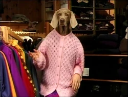 Dogswearclothes?