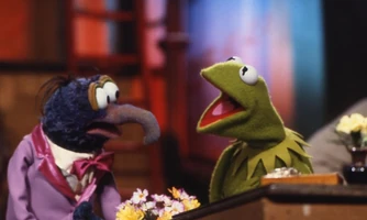 TMS318-KermitGonzo.jpg (72 KB)