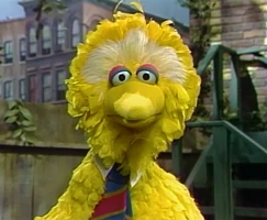 Tie-BB.jpg (120 KB) Big Bird(occasional)