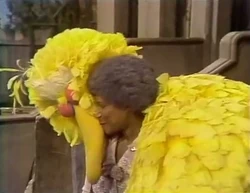 1263-GraceBigBirdKiss