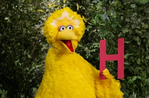 Bigbirdh