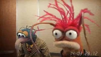 Muppets-com40