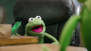 Robin in Kermit's office