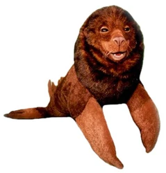 Sea Lion.jpg (17 KB)