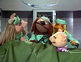 Miss Piggy Appearance Variations Muppet Wiki Fandom