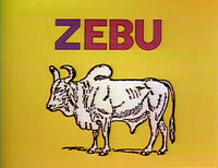 Z - zebu Bud Luckey (First: Episode 1185)