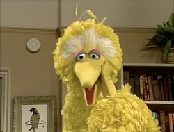 2690bigbird