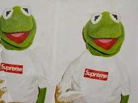 AllenAKA-IMG 0336.jpg (98 KB)