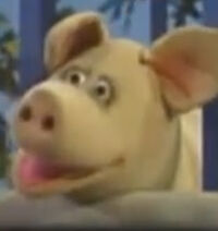 father pig in Kermit News: Children's Zoo