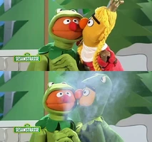 Bert & ErnieErnie & Bert Märchensongs