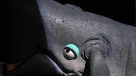 Moby from Animal Theatre