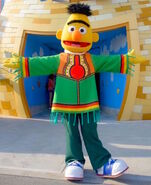 Bertusjoutfitjul.jpg (102 KB)