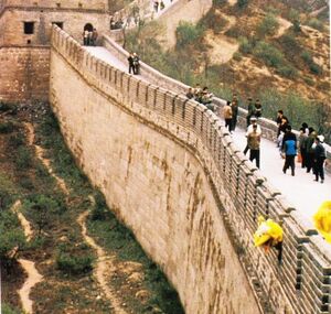 Big bird great wall