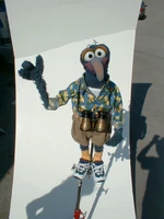 Gonzo costume.jpg (699 KB)