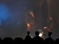 Mst303