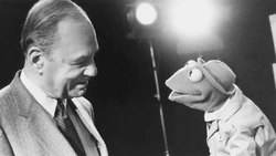 OnTelevision-ReporterKermit