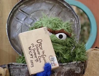 10123 zip code The Street We Live On