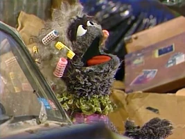 grouch in hair curlers