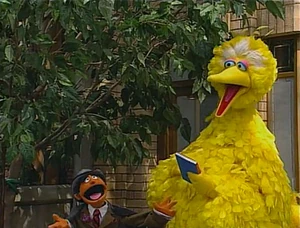 One book is all Big Bird needs to pretend.