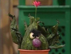 What's up? Stinky's new flower, that's what's up!