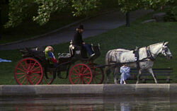 The Muppets Take ManhattanHorse carriage driver