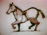 Horse Drawing