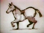 Horse Drawing