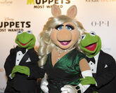 Muppets-Most-Wanted UK-Premiere 014