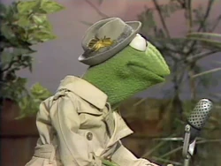 Reporter Kermit feather cap five pigs